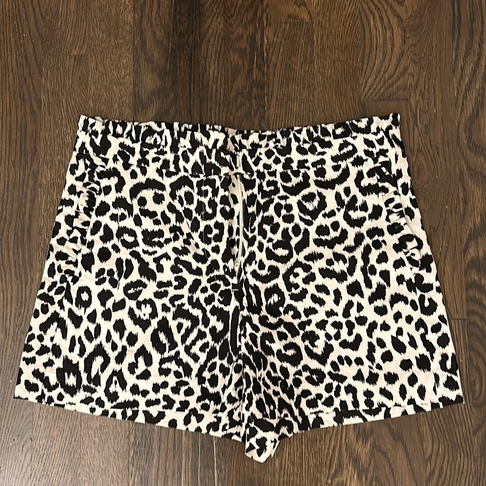 J Crew Shorts